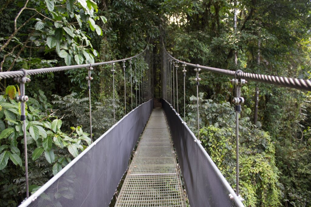 Bro i Costa Ricas Nationalpark