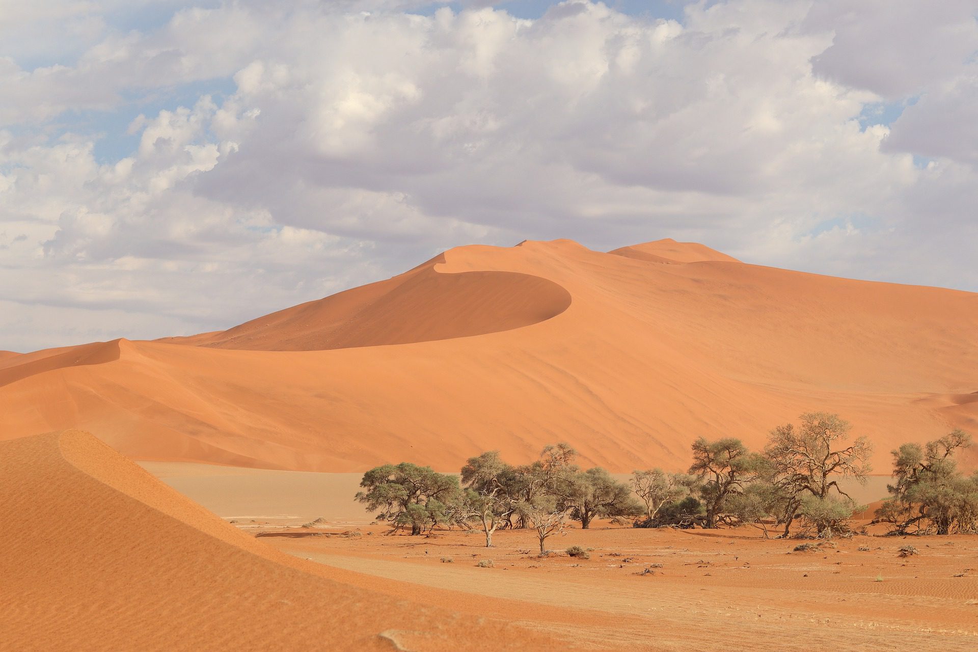 Ørkenen i Namibia