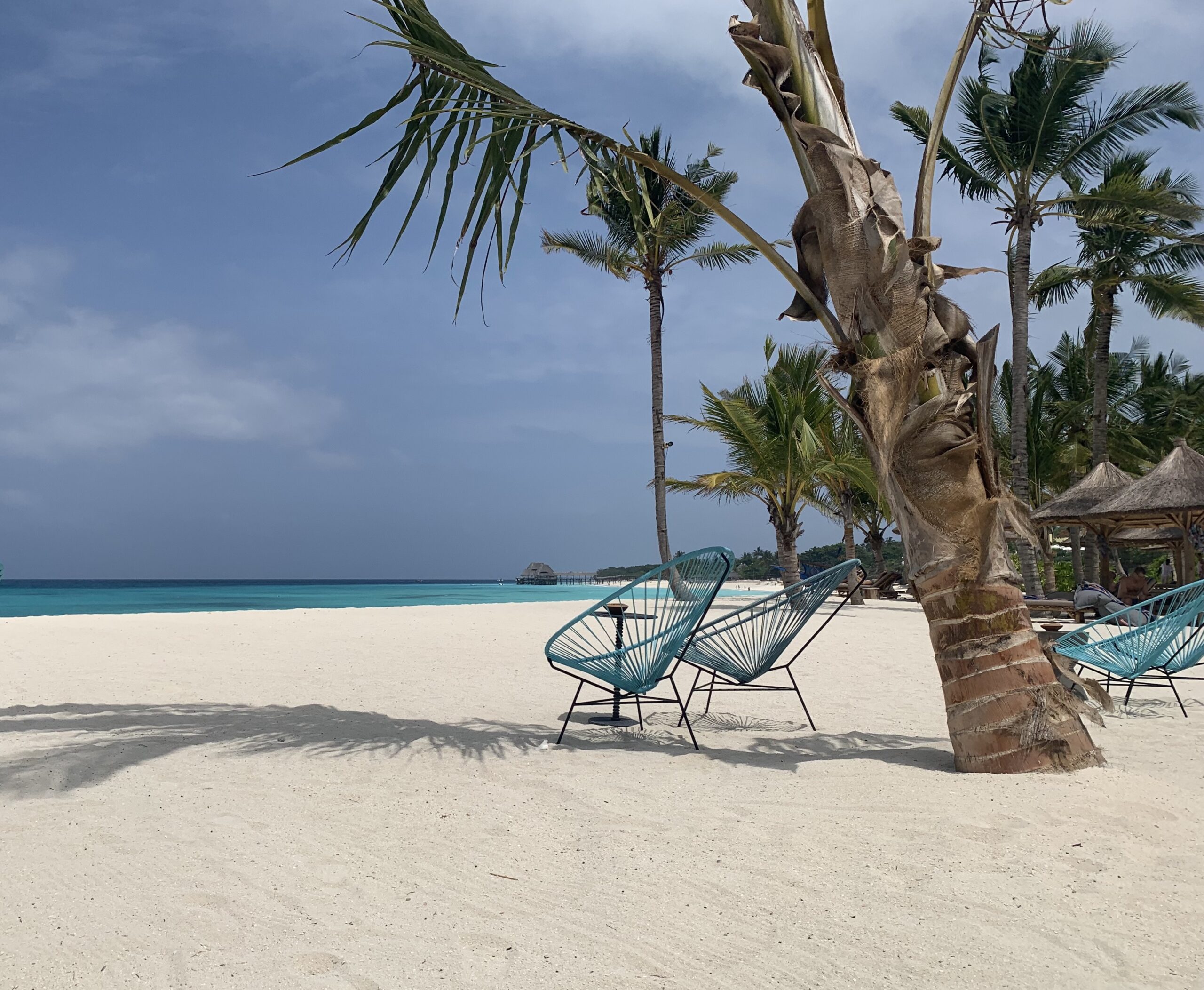 Stole under en palme på stranden på Zanzibar