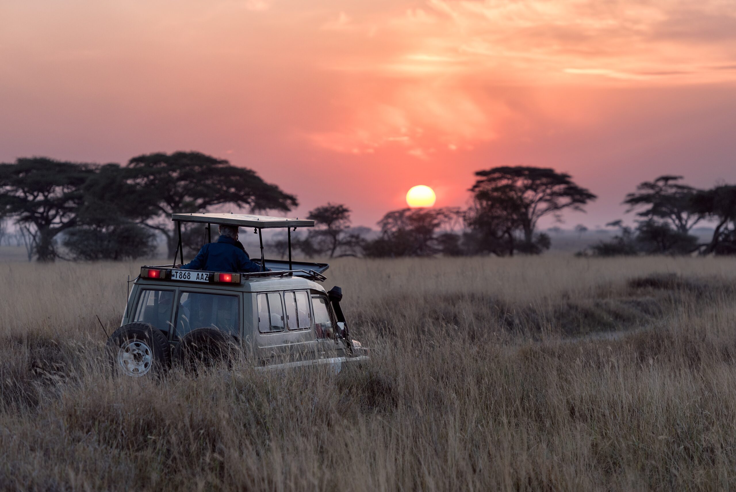 Solopgang i Serengeti